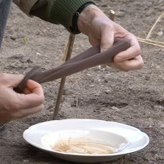 Skydda träd från rådjur och harar Skydda träd från rådjur och harar